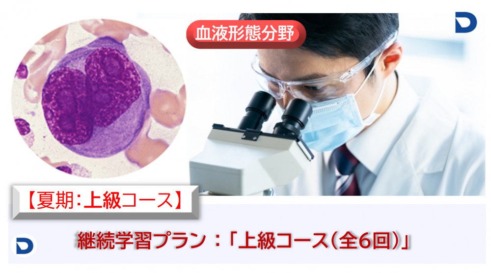 血液形態分野：上級コース【夏期】
（2025.7-9月 全6回）