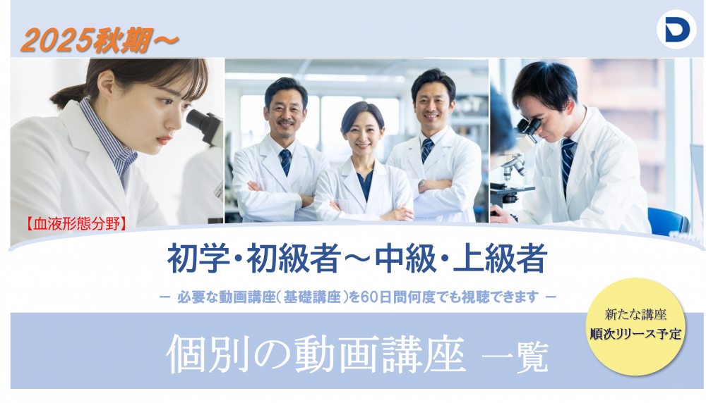 　動画講座（基礎知識編）一覧　　
　　　　（初学・初級・中級・上級者）
